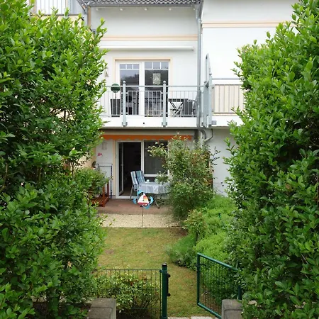 Rosenbusch Graal-Mueritz